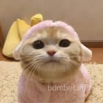 María José Valdés